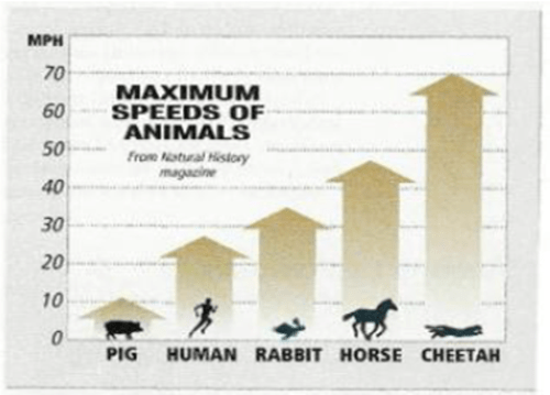 Maximum Speed of Animals Chart