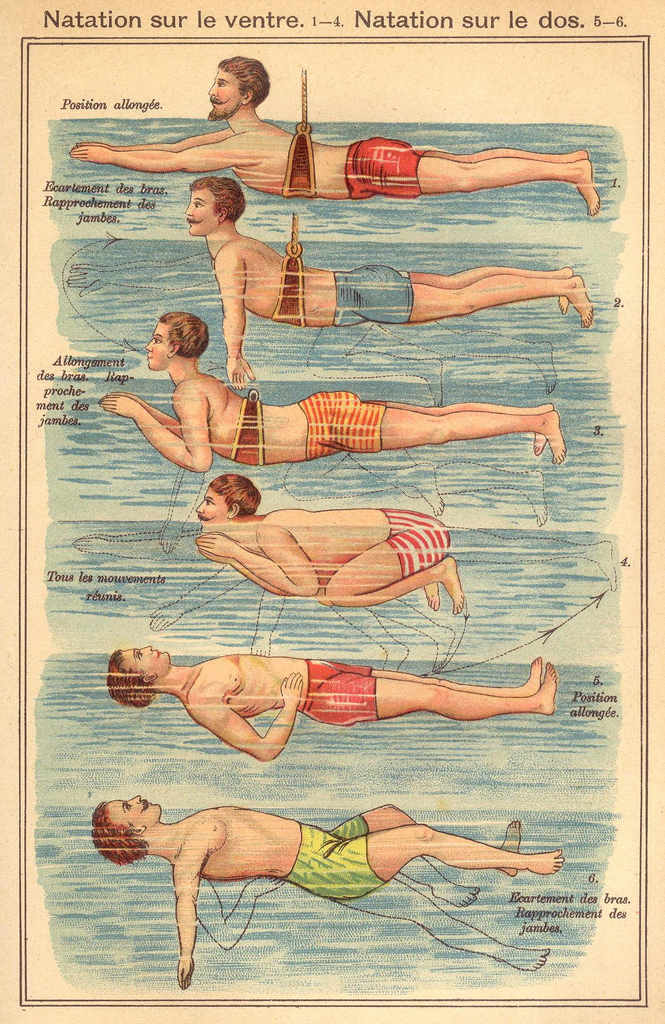 vintageanatomyhowto1