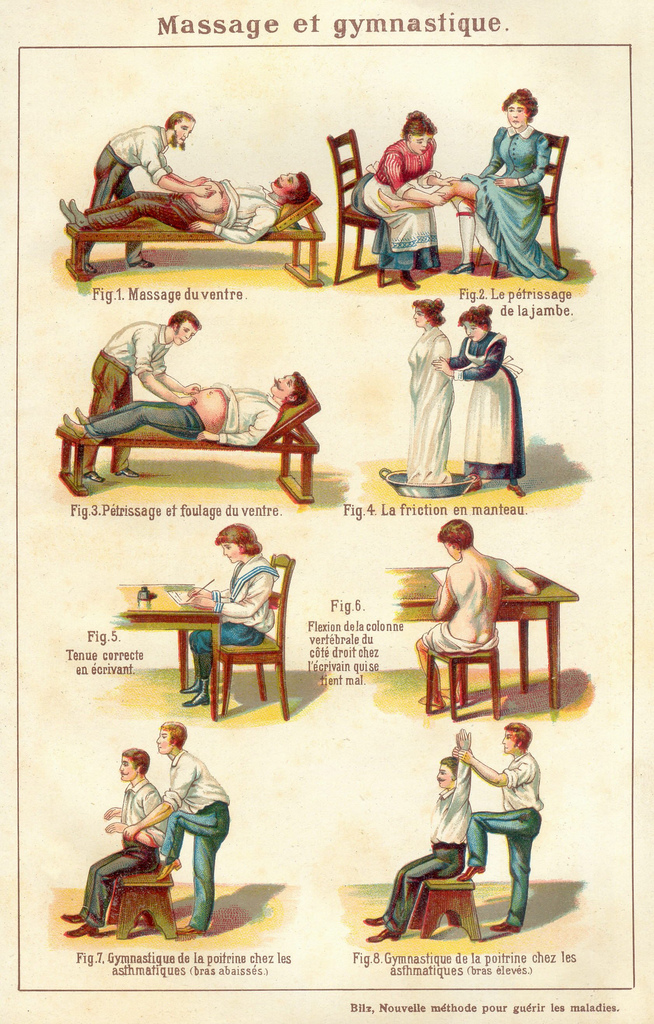 vintageanatomyhowto2