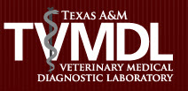TVMDL Logo