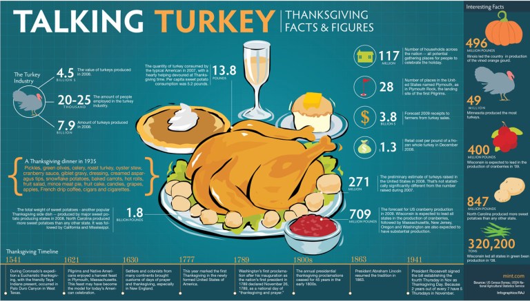 Talking Turkey Infographic