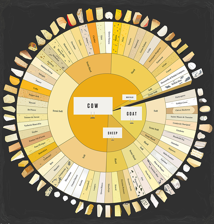 The Charted Cheese Wheel