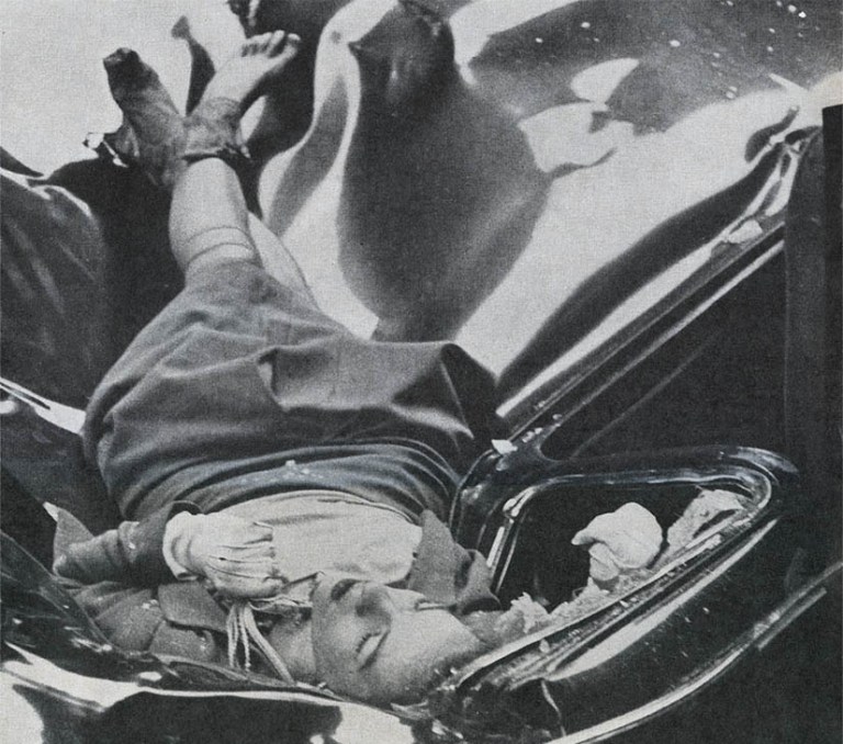 Evelyn McHale Suicide