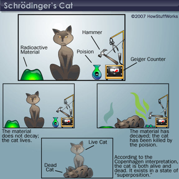 Schrödinger’s Cat Schrödinger’s Cat