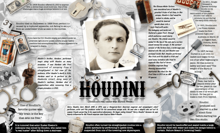 Houdini Infographic