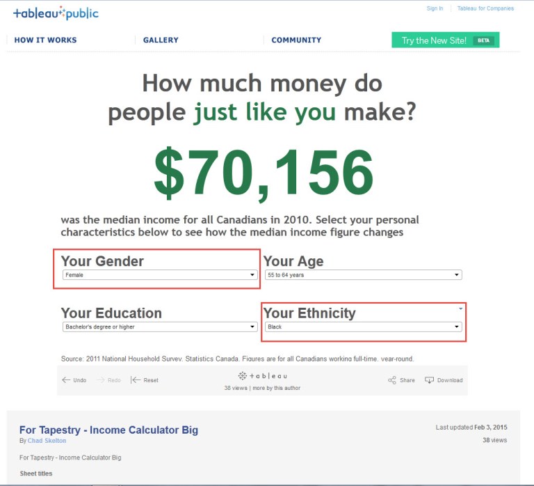 Tapestry Income Calculator Black Female