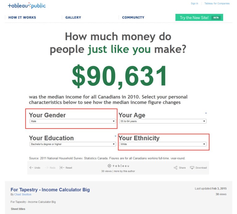 Tapestry Income Calculator White Male