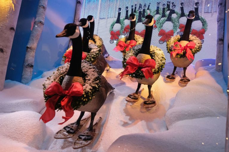 1480612548-1480455463-622238382