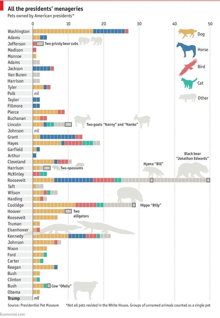 All the Presidents Menageries Infographic