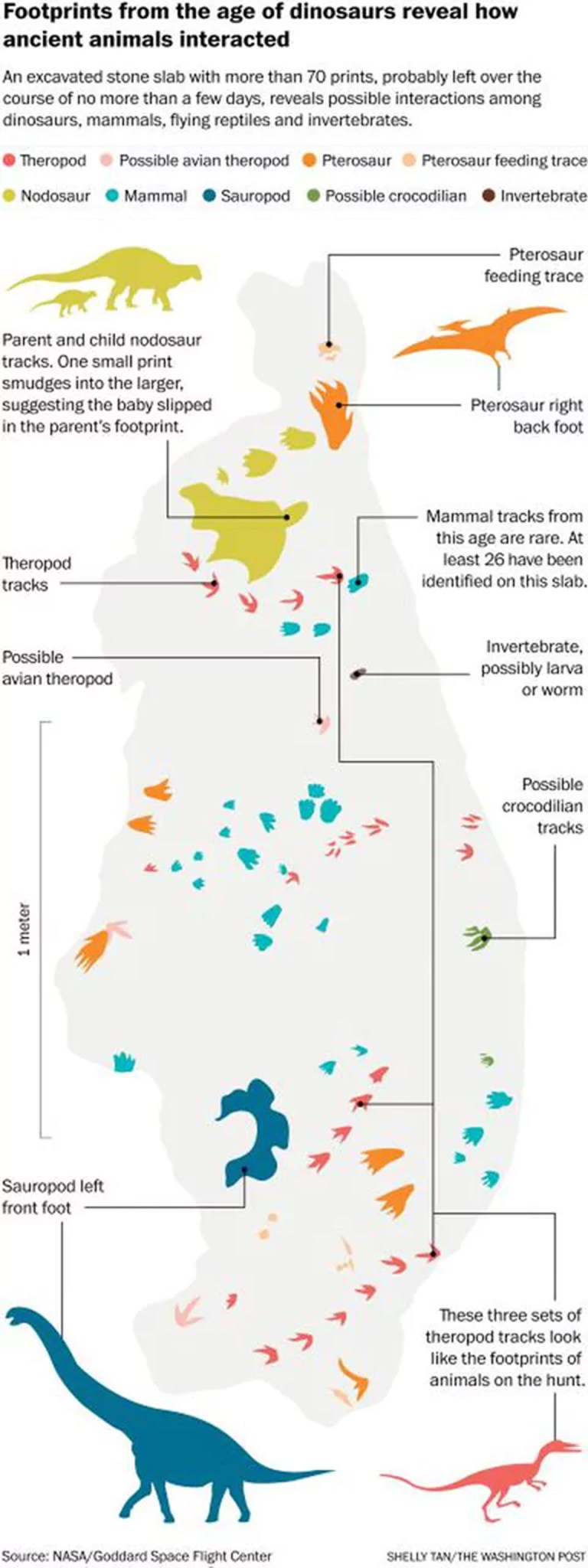 How Dinosaurs interacted with each other