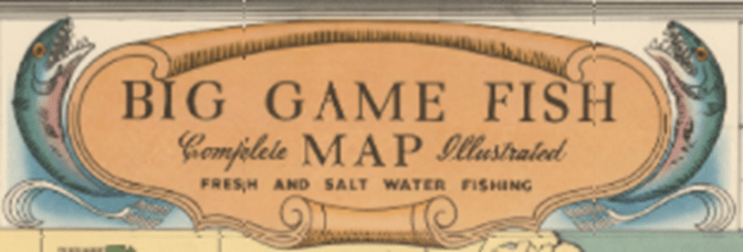 Big Game Fish Snippet - 0