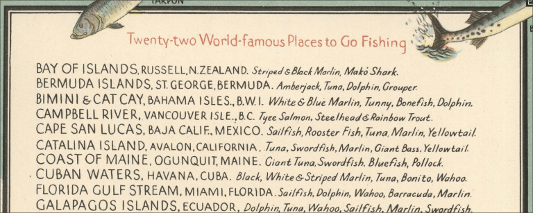 Big Game Fish Snippet - 4