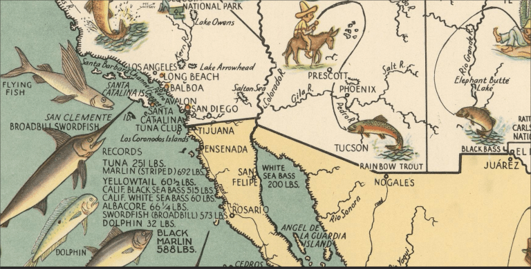 Big Game Fish Snippet - 6